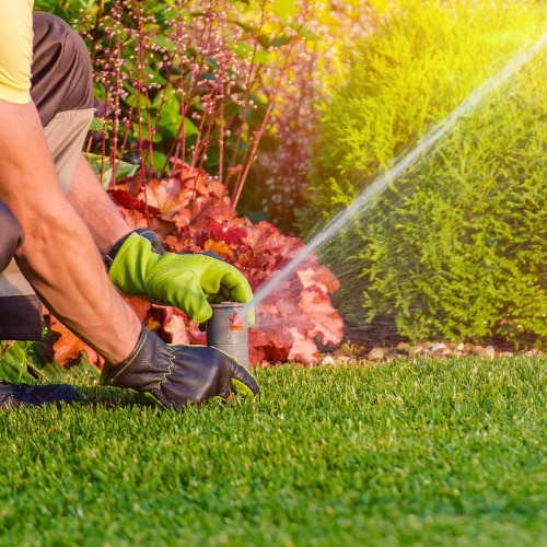 Irrigation Maintenance 
