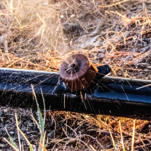 Sprinkler Pipe Repair