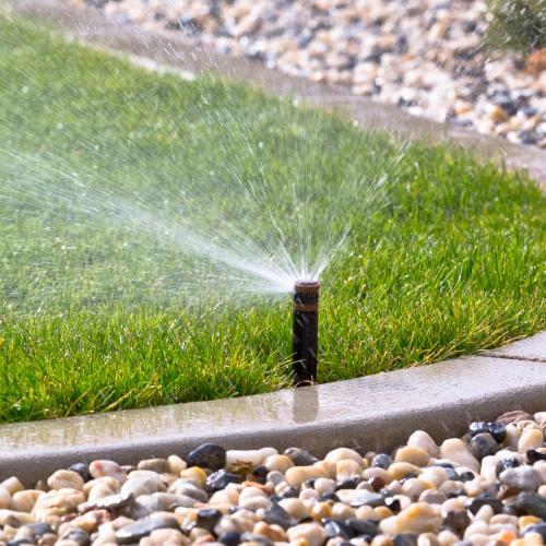 Sprinkler Head Repair